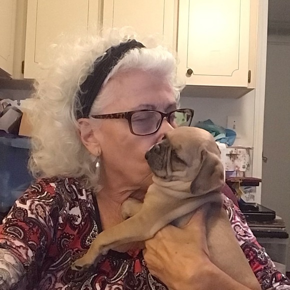 Posh Ambassador. - Picture 10 of 12